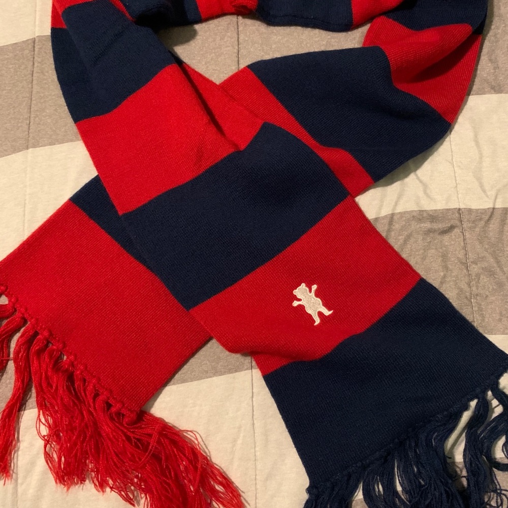 Grizzly Griptape red and navy striped scarf